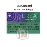 【藍莓爆珠涼感加熱菸 菸彈】Terea Velvet Pearl日本原装进口 加熱菸主機ILUMA專用 整條10包 口味補給所全家加熱煙口味現貨