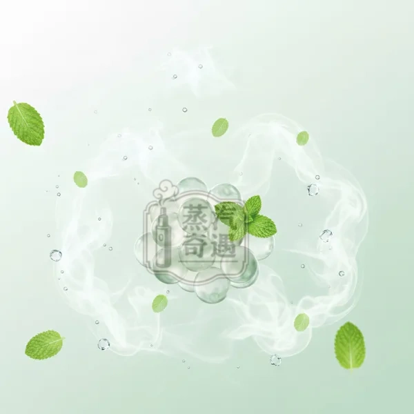 加熱菸全家口味新手推薦款